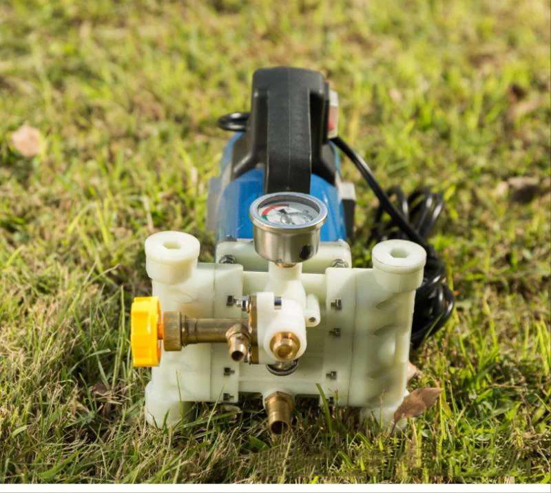 Agricultural Electric Pesticide Fruit Tree Sprayer 12V V High Pressure Double Cylinder Piston Pump