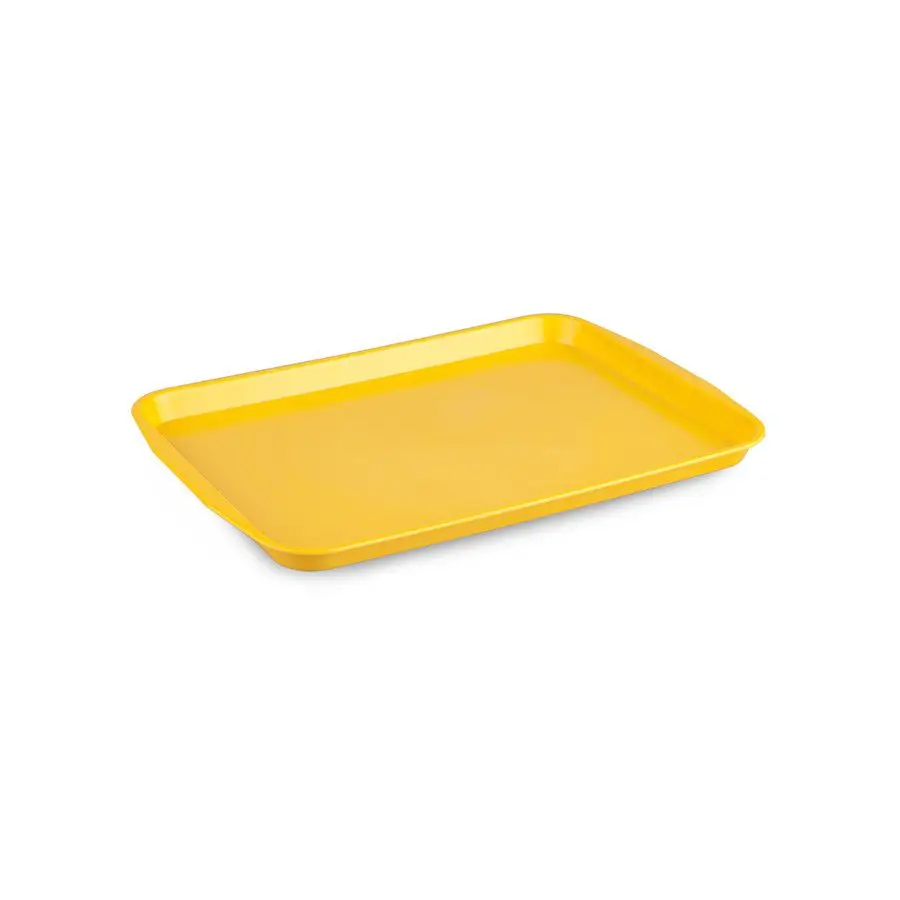 DOLBOVI Serving tray 27x36 tray поднос plateau de service