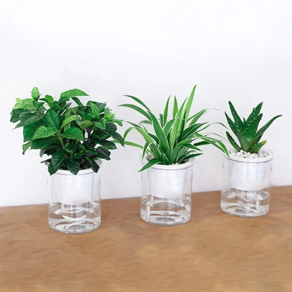 

Flower Pot Clear Automatic Water Absorption Self Watering Hydroponic Resin PP Flower Planter