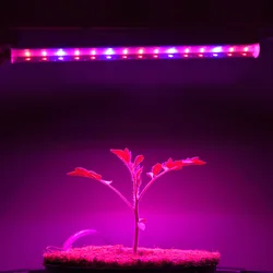 30cm Led Grow Light  AC 85-265V EU US Plug New Full Spectrum T5 Tube  phytolamp for plants growth Tent flower seedling grow lamp
