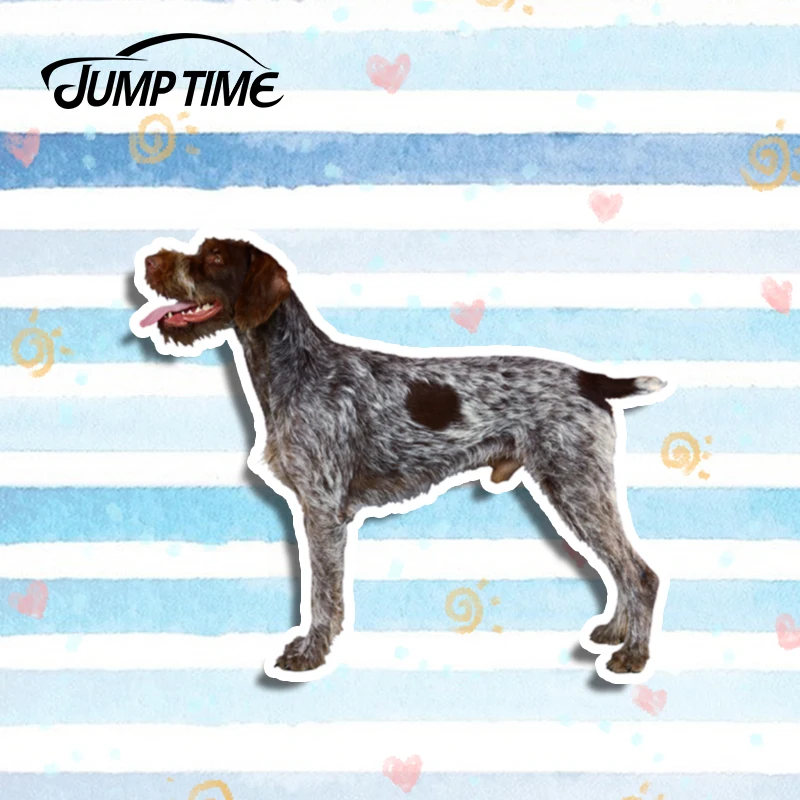 Jump Time 13cm x 10.7cm Auto Moto Bike Laptop German Wirehaired Pointer Decal Pet Car Sticker Waterproof 3D Car Styling