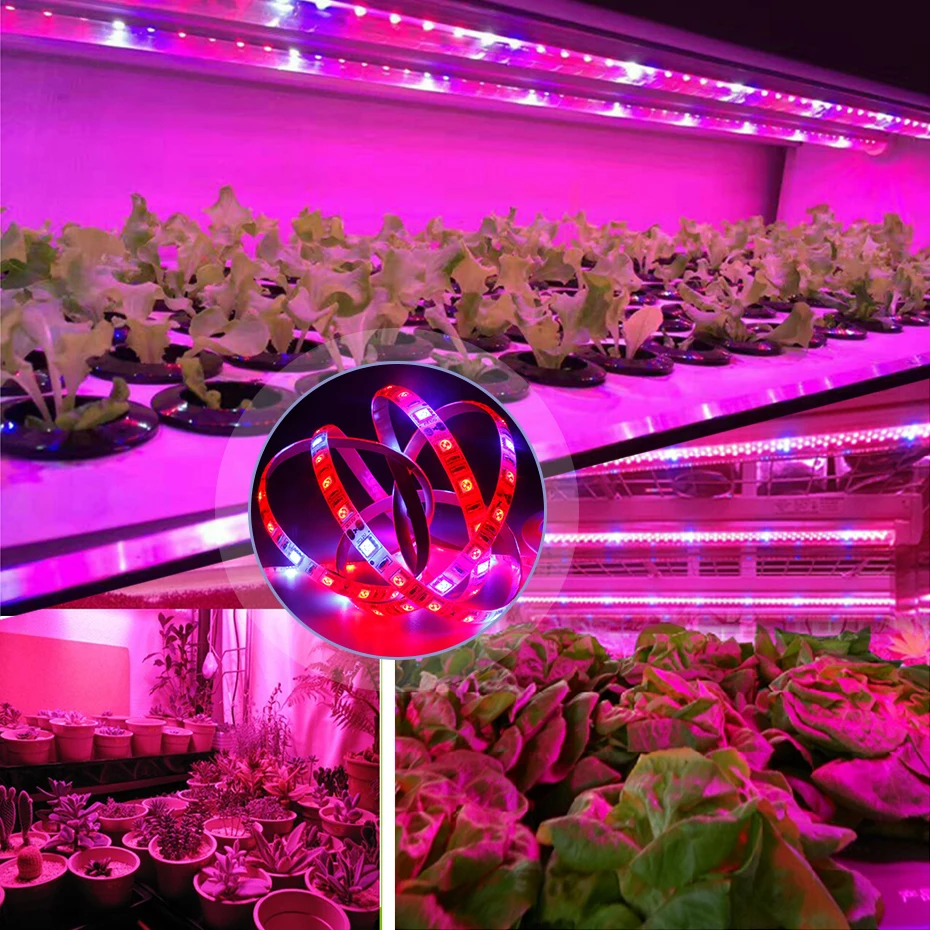 12V Full Spectrum Led Grow Light Strip Red +Blue Growing Lamp Waterproof IP65/IP20 For Hydroponics Flowers Plants Vegetables