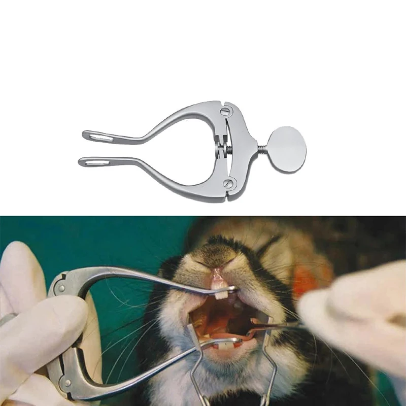 1PCS Lab Experiment Rodent Rat Rabbit Totoro Dental Instrument Extraction Forceps Tooth Elevator Pressure Plat Expansion Opening