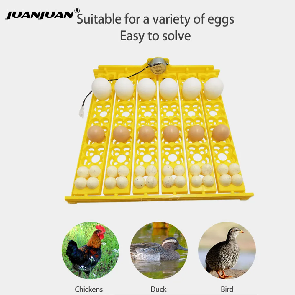 

24 Eggs Incubator Turn Tray Poultry Incubation Equipment Chickens Ducks And Other Poultry Incubator Automatically Turn Egg