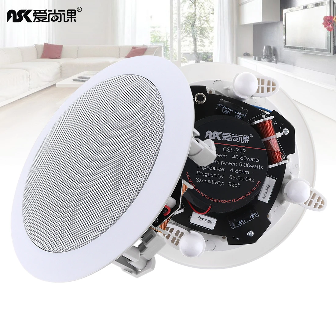 

5 Inch 20W Coaxial Fixed Resistance Radio High Fidelity Ceiling Speaker Public Broadcast Background Music Speaker for Home