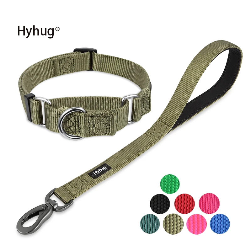 Hyhug design nylon martingale dog collar and 18  inch dog leash sets，Training, walking and short distance control dogs