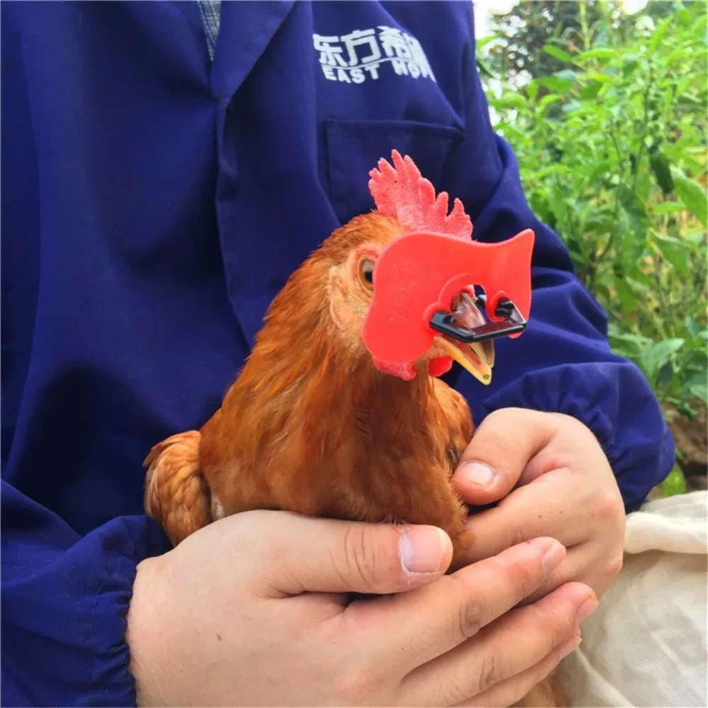 10 Pcs Chicken Glasses Chicken necessary S/M/L/XL Red Soft Chicken Anti-pecking Glasses without Bolt Poultry feeding equipment