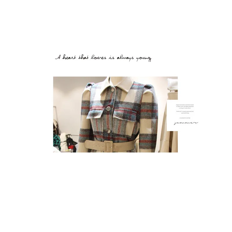 Novel Spring Turn Down Collar Women Woolen Coat Plaid Print Elegant Wool Jacket Women Autumn Long Coat Casaco Feminino