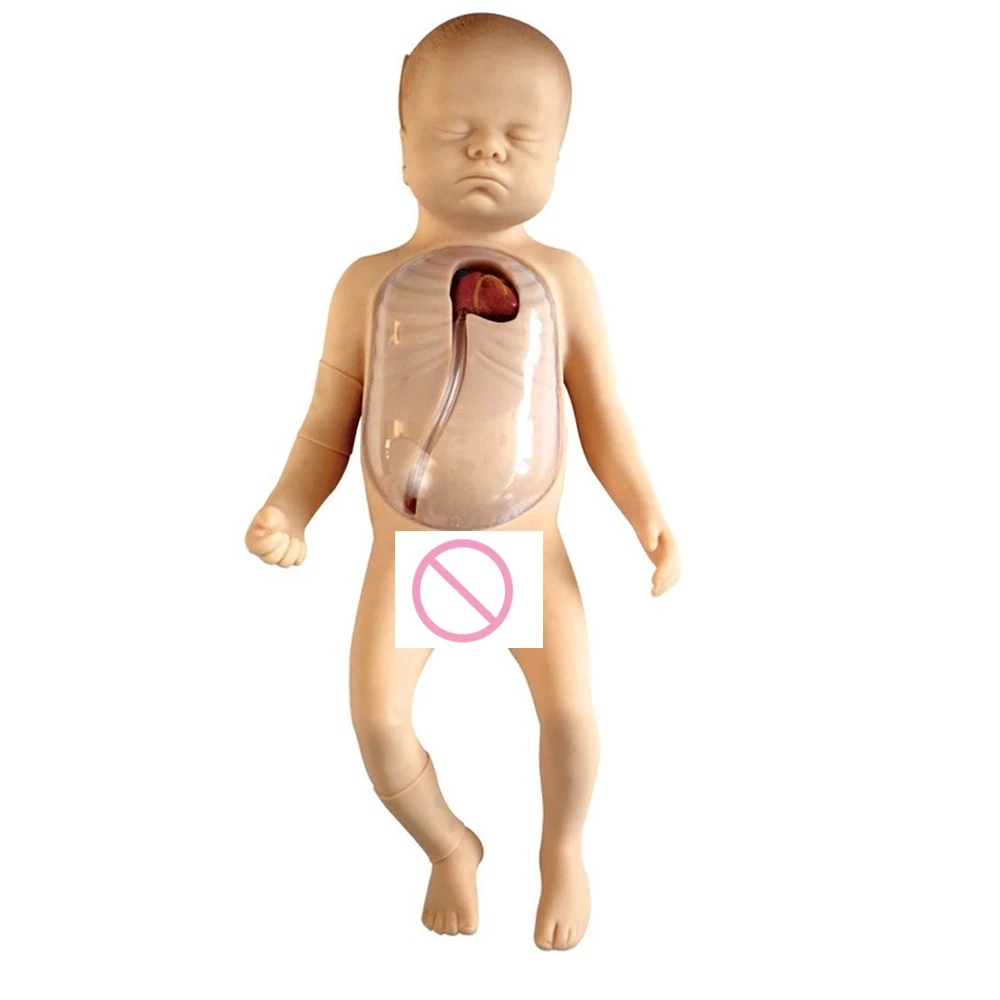 

Neonatal PICC Training Peripheral and Central Vein Intubation Model,Baby Nursing Manikin