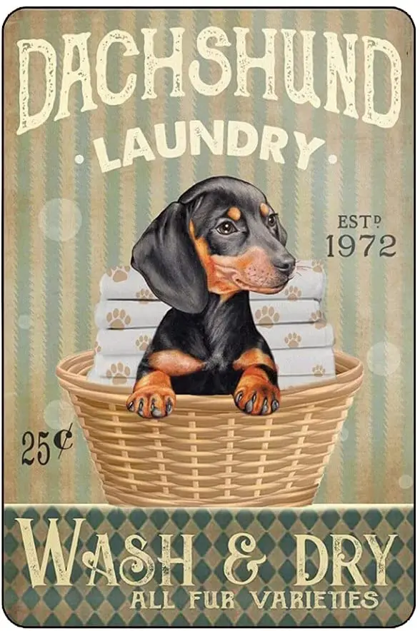 

XDHYWS Metal Tin Signs Dachshund Dog Laundry Bathroom Living Room Dog Lover Decoration Home Wall Art Decor 8 X 12 Inches