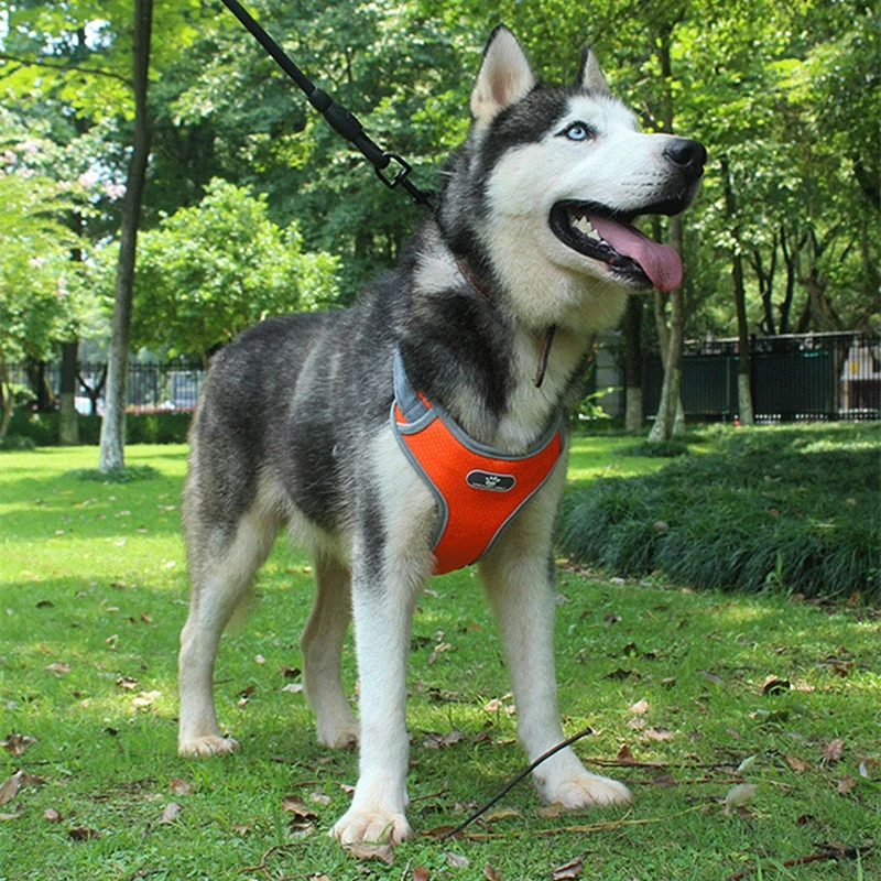 Pet Dog Reflective Harness for Small Medium Large Dogs Pitbull Husky Alaskan Adjustable Durable Harness Walking Pets Harness