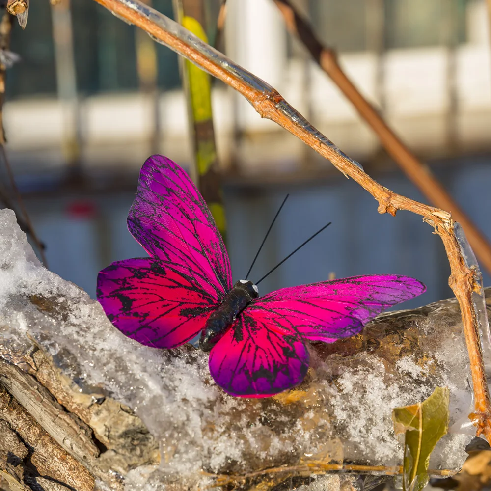 12pc Simulation Feather Butterfly Wedding Photography Color Balcony Decoration Pastoral Home Dragon Flower Pot Fake Butterflye