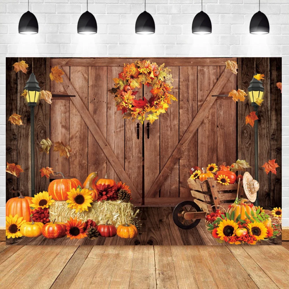 Laeacco Alten Ländlichen Holz Lager Bauernhof Glas Veranda Boden Baby Porträt Foto Hintergründe Fotografie Kulissen Für Foto Studio