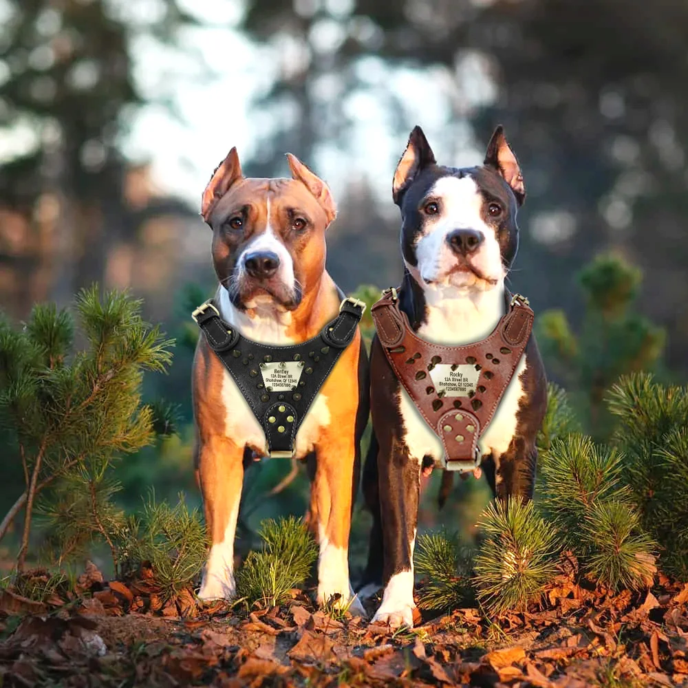 Durable Dog Harness Personalized Dogs Harness Vest For Medium Large Dogs Training Show Party With Anti-lost Tag Nameplate Handle