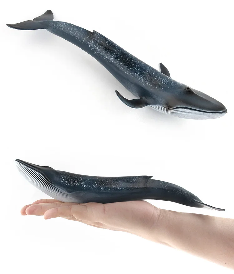 27CM Ocean Sea Life Simulation Animal Model WHALE Blue Whale Action Toys Figures Kids Educational Collection Model Xmas Gift