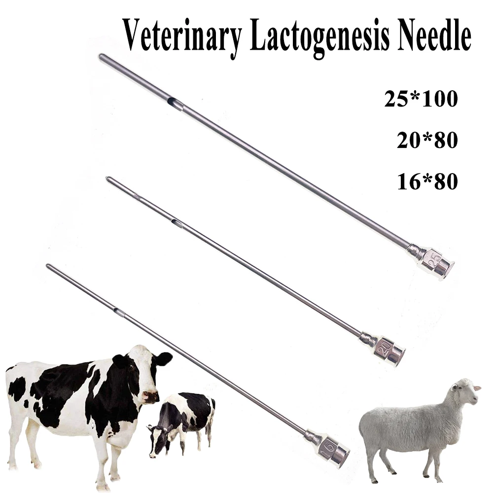 Ewe Cow Veterinary Lactogenesis Needle Pin Stainless Steel Breast Dredging Drenching Round Rod Ranch Medical Clinic Tools