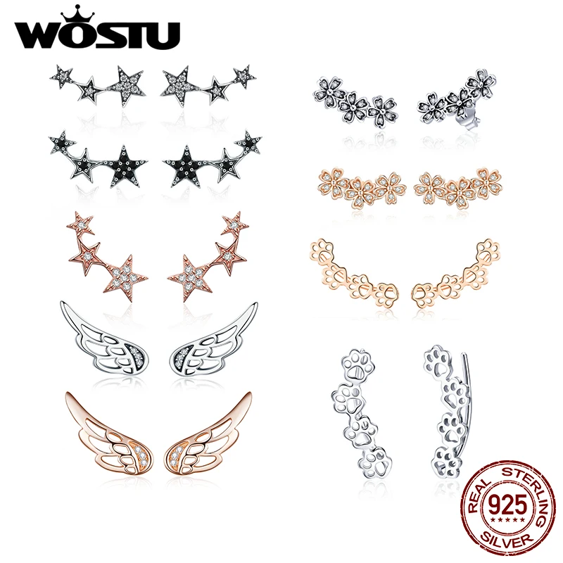 WOSTU Authentic 925 Sterling Silver Heart Shape Star Zircon Stud Earrings Women Wedding Luxury Fashion Fine Jewelry Making Gift