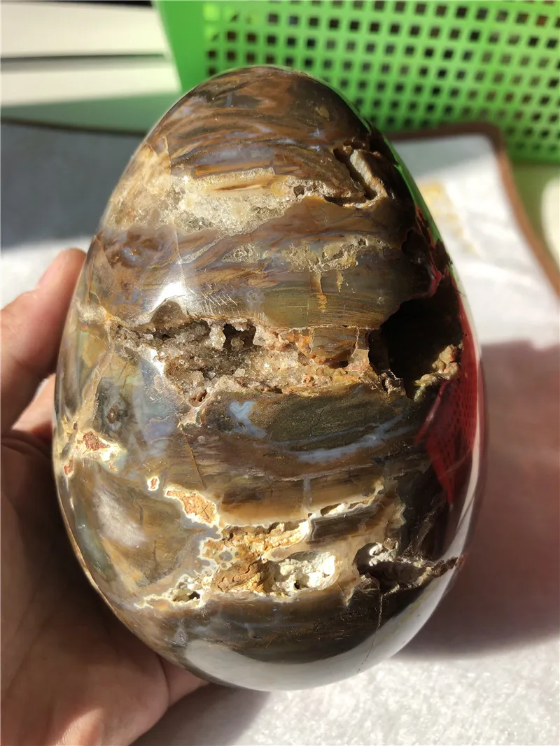 

1.7kg New arrival Healing Crystal Reiki Gemstone Collectible Decorative Petrified Wood Eggs For Gifts