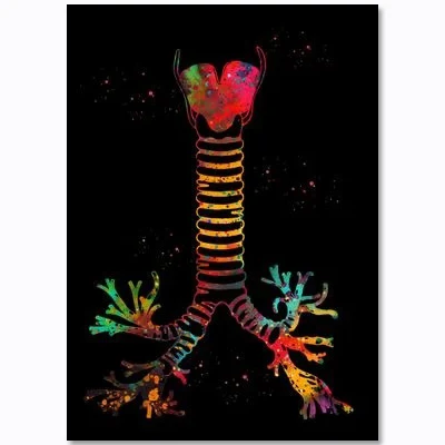 Chromosome Neurotransmitters Biology Genetics Nordic Poster Wall Art Canvas Painting Wall Pictures For Living Room Unframed