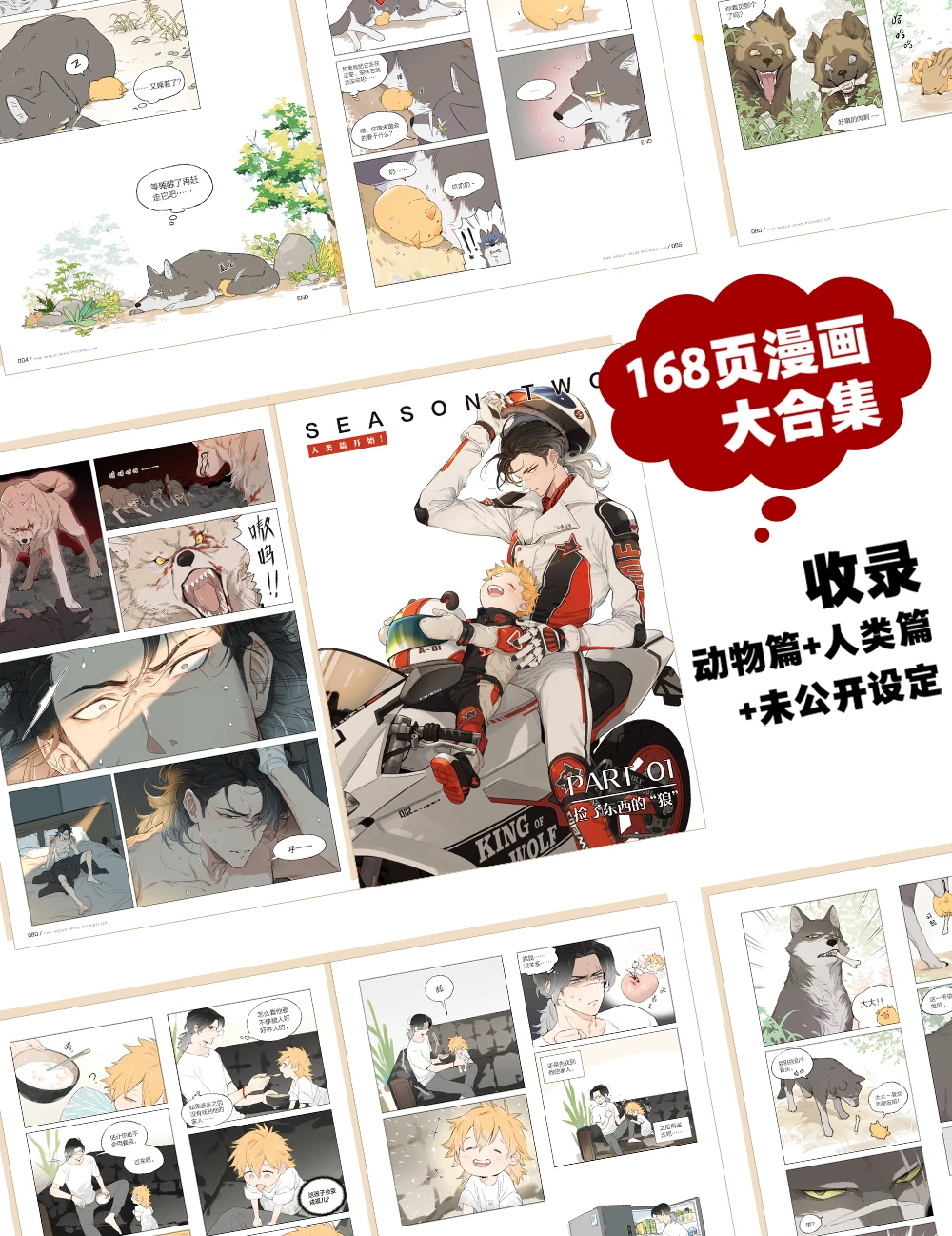 2021 The Wolf Who Picked Up Comic Book Volume 1 by MAO Youth Literature Boys Romance Love Manga Fiction Books