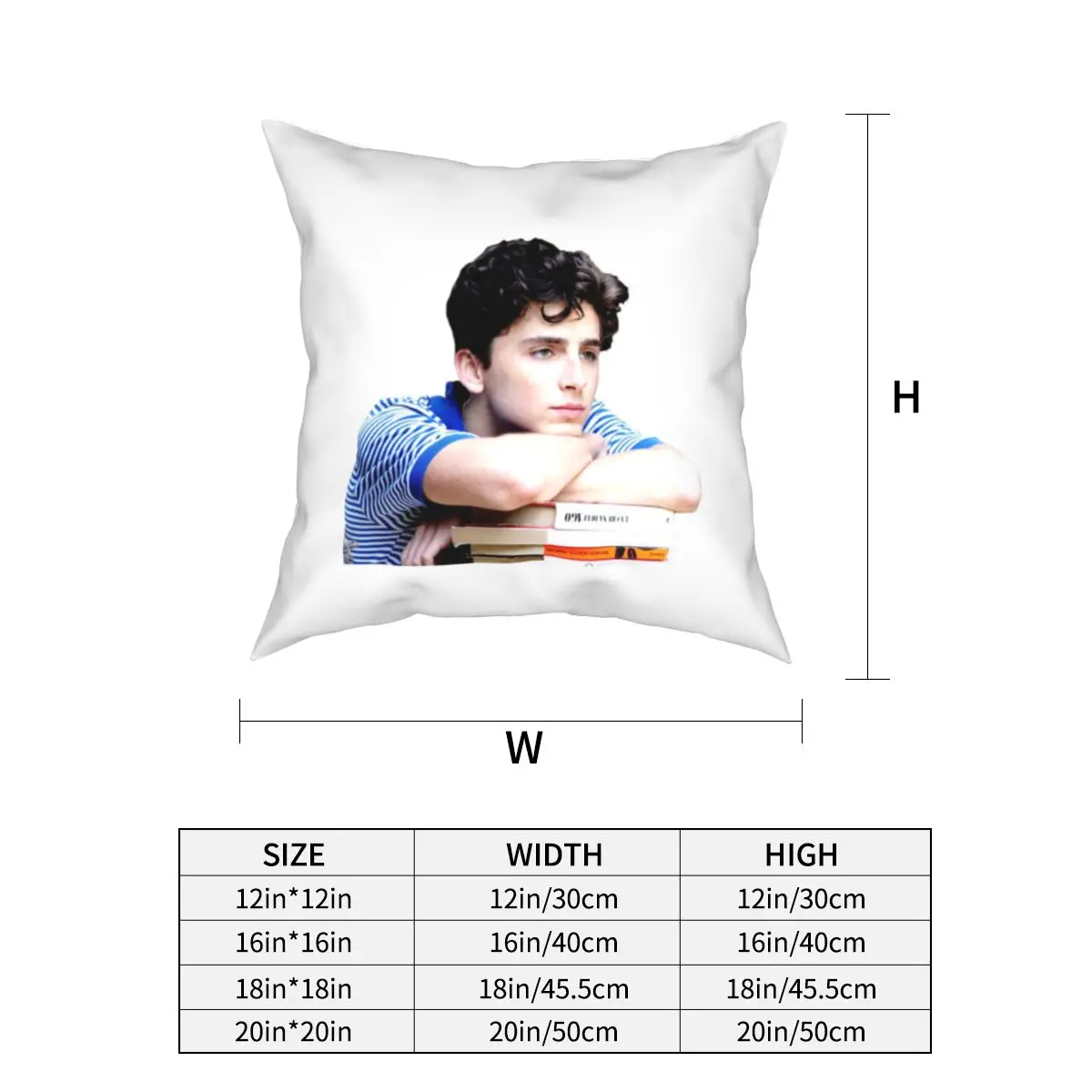 Elio Call Me By Your Name Pillow Covers Bed Car CMBYN LGBT Gay Movie Cushion Case Creative Throw Pillow Case 40*40cm