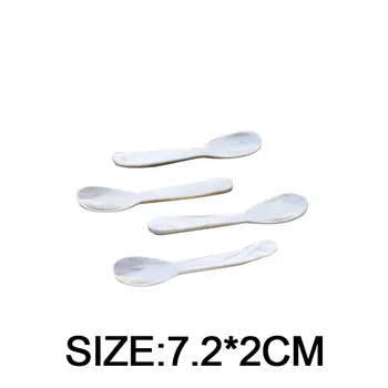 10/1 ks Nové přírodní lastury lžičky 72 mm kořenící lžička kávový kaviár dezertní lžičky malá čajová lžička řemesla pro kosmetický krém 8 nejlepší prodej malé lžičky na koření - №8