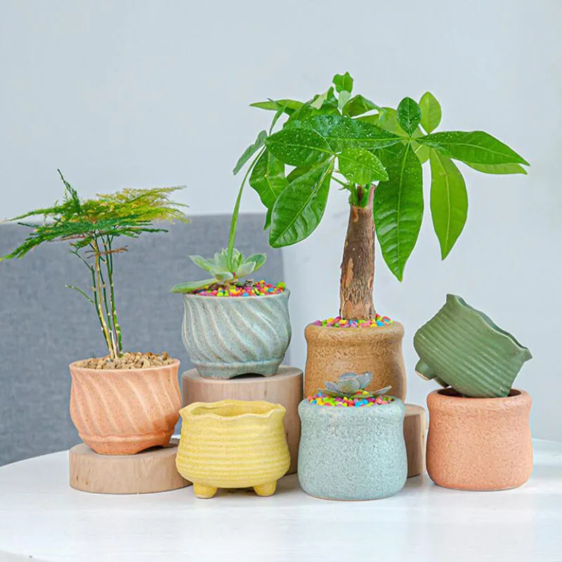 

Simple Style Succulent Plant Flowerpot Home Garden Fleshy Flower Pot Ceramic Crafts Vase Desktop Ornaments