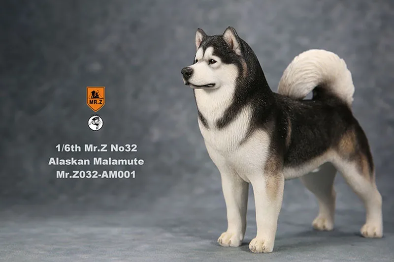 

Mr.Z 1/6 No.032 Scale Simulation Animal dog Alaskan Malamute Model Kids Toys Gift Model F 12" Action Figure Scene Car display