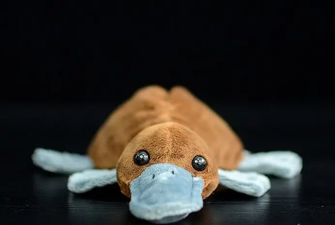 لعبة نابضة بالحياة لخلد الماء من القطيفة حوالي 20 سنتيمتر دمية ناعمة لعبة طفل هدية عيد الميلاد h1255