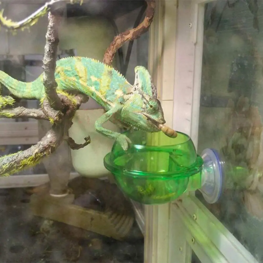 

Reptile Feeder Suction Cup Anti-Escape Food Bowl Chameleon Worm Live Fodder Container Translucent Home Pet Supplies Accessories