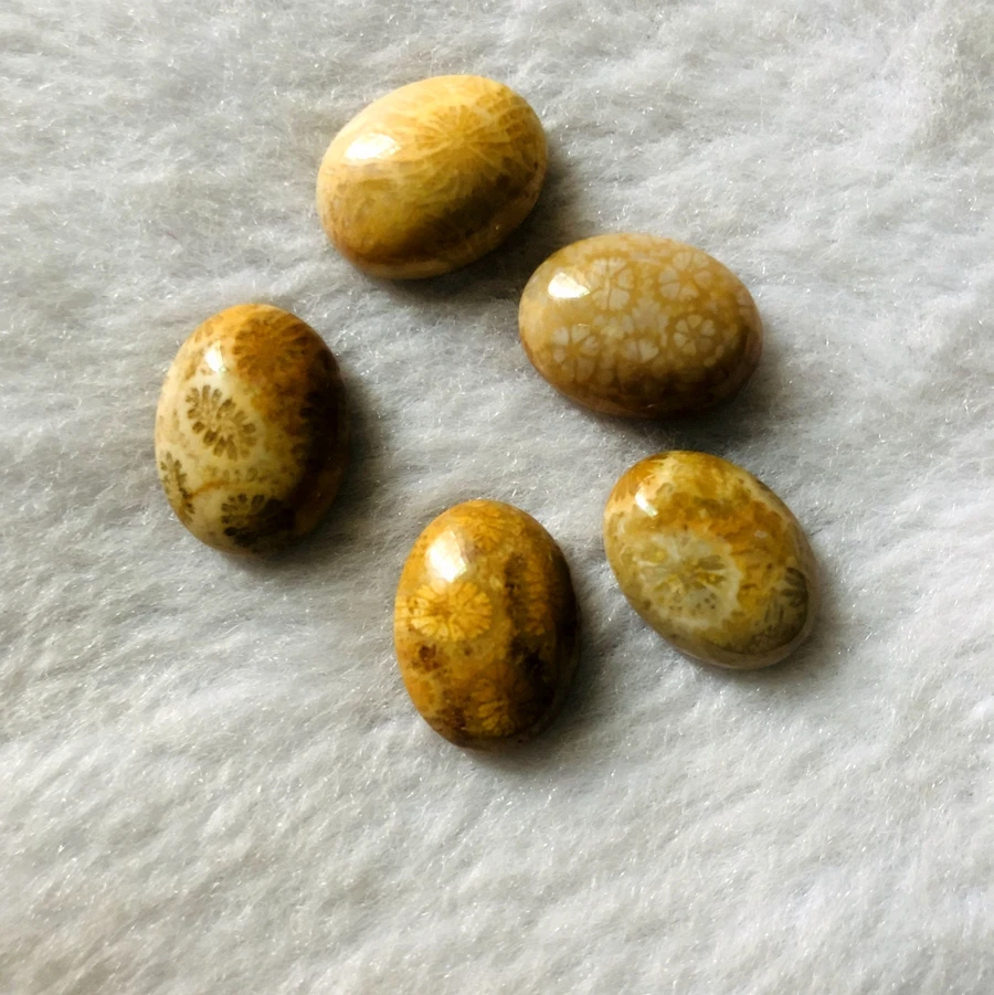 Wholesale 2pcs/lot Coral Fossils Jasper Bead cabochon,12x16mm 15x20mm Oval Gem stone Bead Cabochon Ring Face