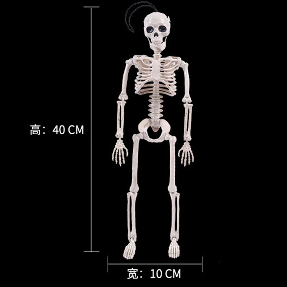 40CM scheletro modello all\'ingrosso impara aiuto anatomia arte schizzo Halloween flessibile anatomia umana anatomia osso