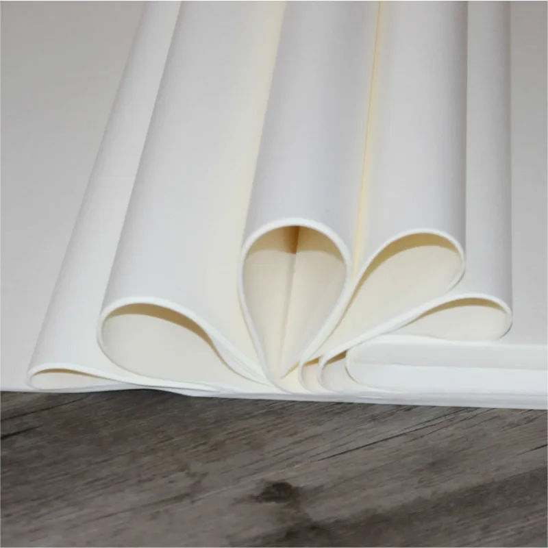 Rijstpapier Calligraphy Paper Papel Arroz Chinese Calligraphy Writing Practice Rice Paper Chinese Painting Xuan Paper