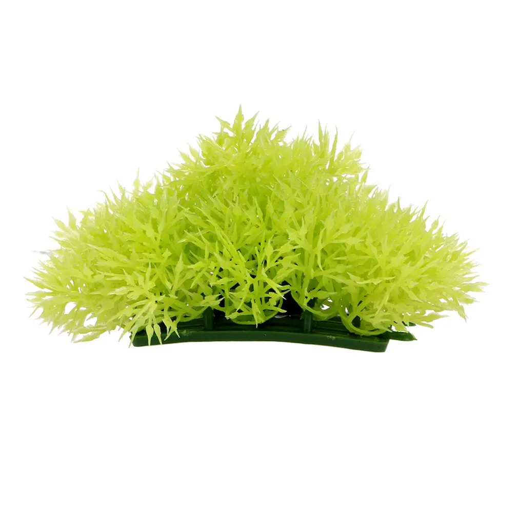 Simulation Of Aquatic Fish Tank Landscaping Simulation Plant Viewing Pine Needles With Base Small Grass