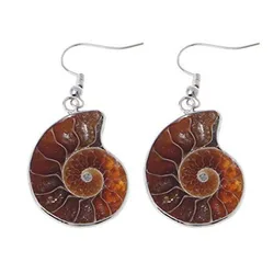 KFT Natural Ammonite Mineral Seashell Snail Ocean Shell Reliquiae Dangle Hook Stone Earrings Different Size For Women Jewelry