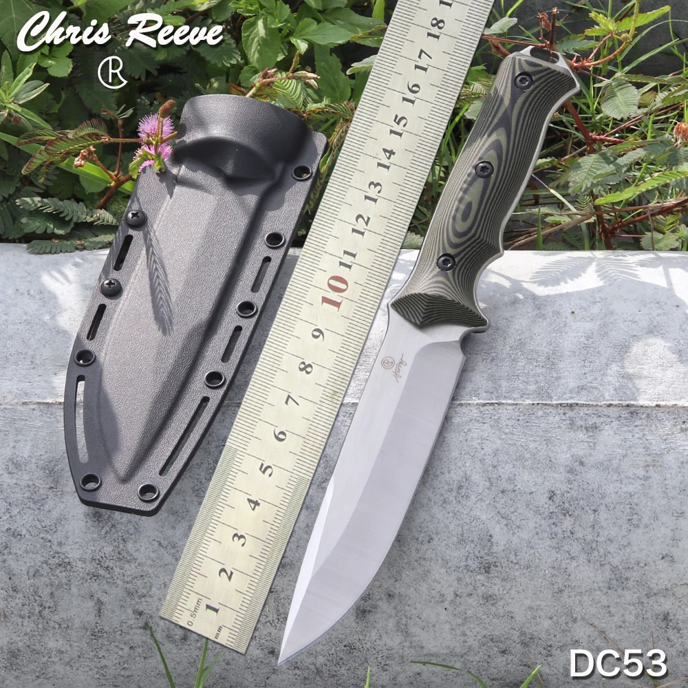Churisreeve-ハンティングナイフ,g 10ハンドル,dc53,鋼固定刃,サバイバルナイフ,キャンプツール