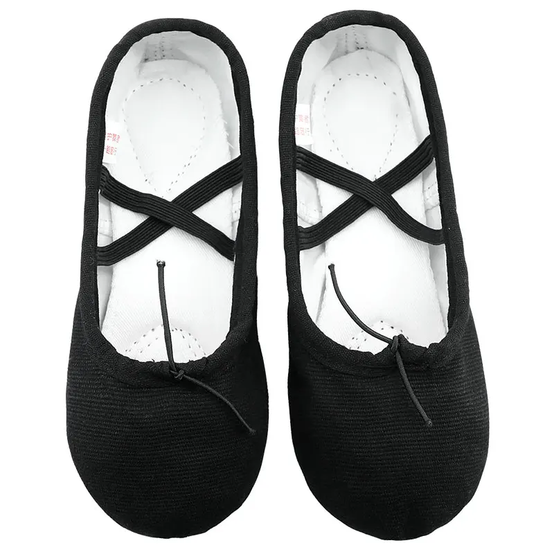 Professionelle Jungen Ballett Dance Schuhe Männer Erwachsene Weichen Leinwand Praxis Tanz Schuhe Leder Sohle Ballerina Schuhe