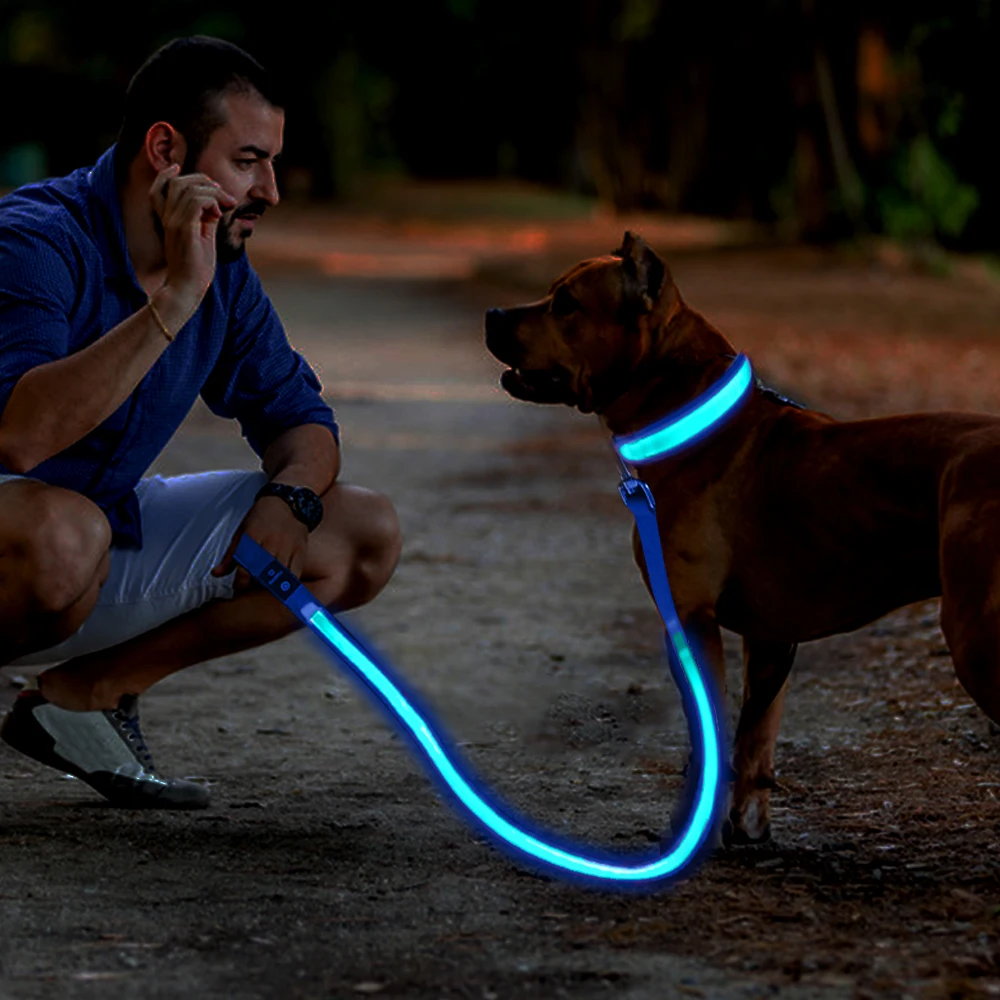 MASBRILL LED Dog Leash USB Rechargeable Pet Leash Reflective Nylon Mesh Soft Padded Walking Training Visible & Safe water proof