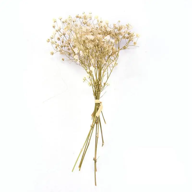 1Bunch Gypsophila Dried Flowers Home Wedding Decoration Flora Bouquet Artificial Flowers Valentines Day Gift Craft