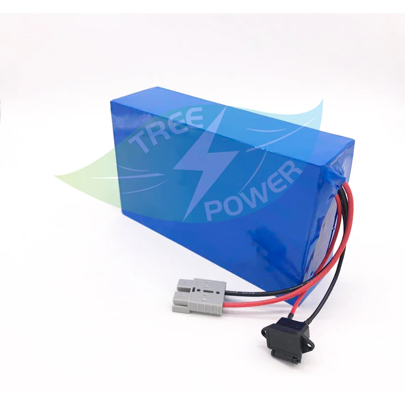 48v 30ah lithium ion battery 48V li ion BMS for 2500W 1500w tricycle golf cart tricycle bike equipment scooter