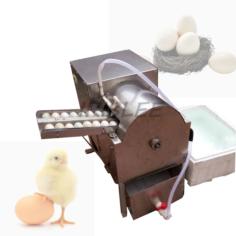 Stainless Steel Brush Washing Egg Machine Cleaning Dirty Duck Poultry Egg Washer And Cleaner