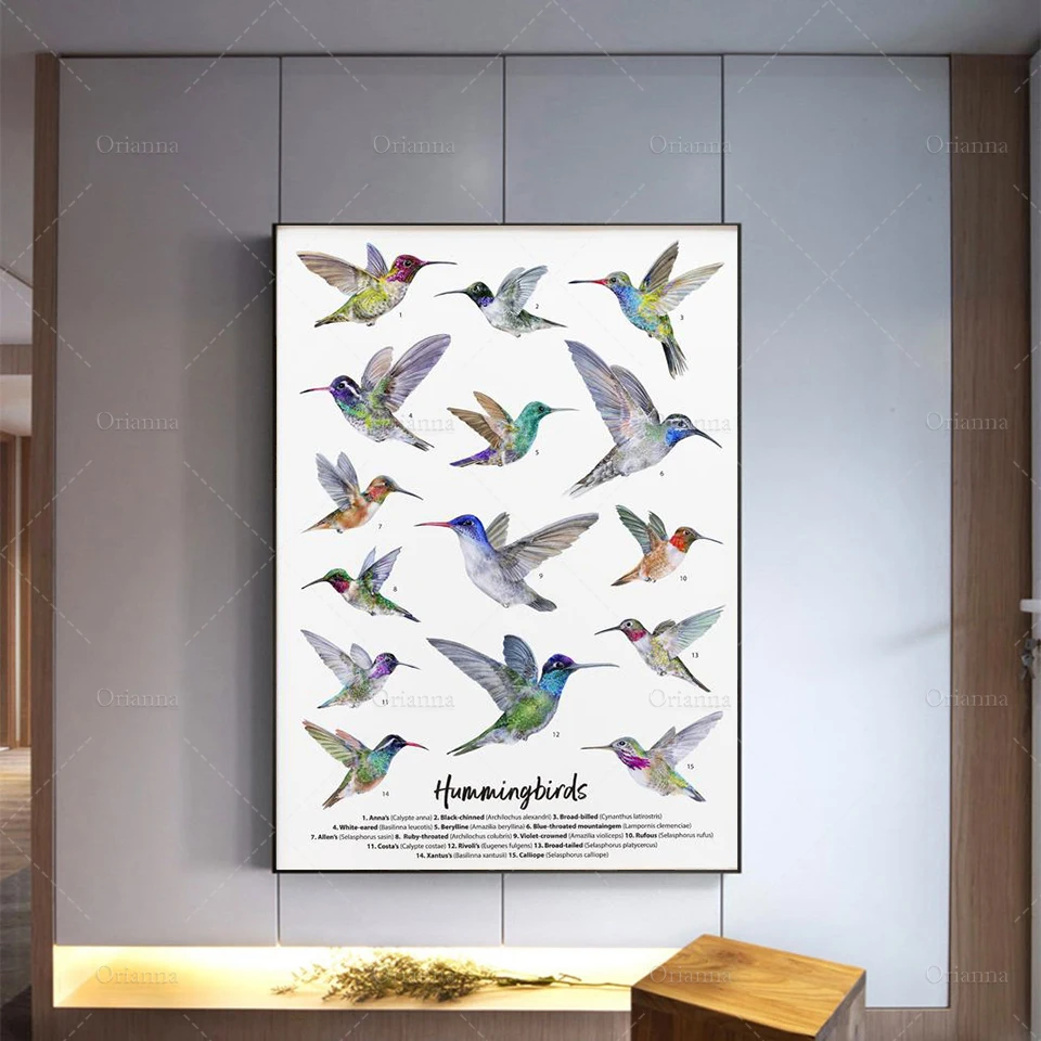 

Hummingbirds art print | Homeschool, wall, nursery, wildlife poster , Modern Home Decor Posters, Wall Art Canvas Painting