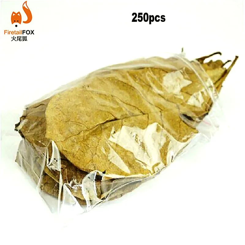 50pcs Nature Terminalia Catappa Foetida Almond Leaves Water Filter Aquarium Fish Tank Breeding Shrimp Snails Catfish Ornament