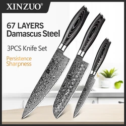 XINZUO 3PCS Kitchen Knives Set 67 Layers High Carbon Damascus Stainless Steel 8+7+5 Chef Santoku Utility Knife Pakka Wood Handle