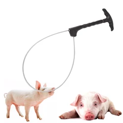 1 Pcs Pig Baoding Set Pig Fixed Rope Wire Ropes Sleeve Stockbreeding Tool Domestic Animal Mouth Set Veterinary Equipment