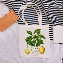 Shopping Canvas Bag Rainbow Handbags Female Eco Shopper Bags Art Cartoon Vintage Aesthetic Casual Shoulder bag Teoon Shopper Bag