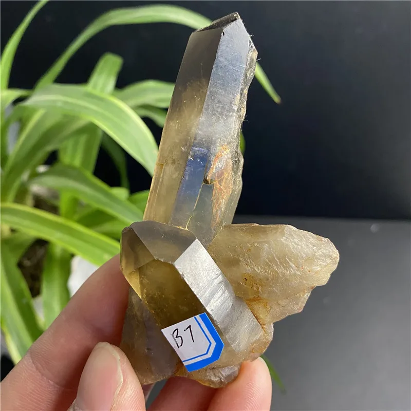 Top Natural Large Smokey Quartz Crystal Point Wand Healing Specimen Home Decoration