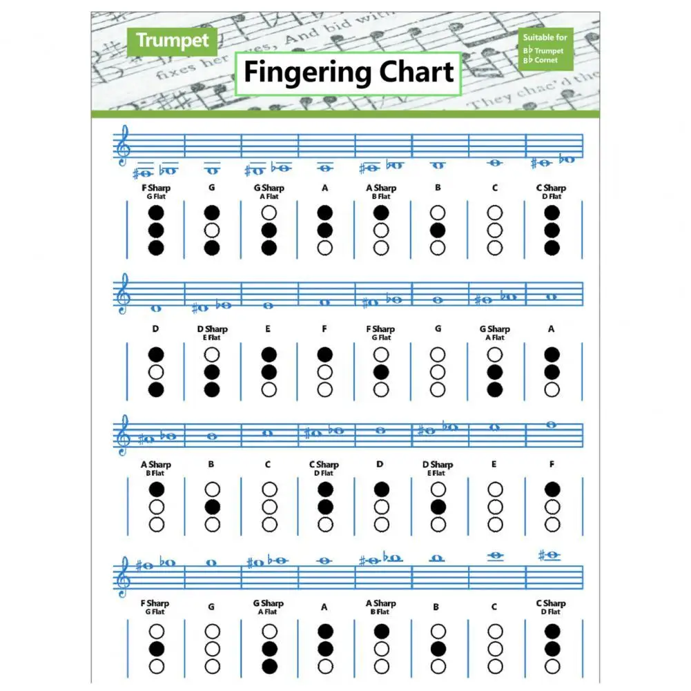 Trumpet Fingering Chart Clear Illustration Waterproof Refreshing Color Trumpet Music Chord Poster for Beginner