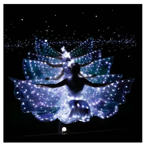 led-light-wings-ballet-performance-clothing-fluorescent-butterfly-dance-cloak-dance-costume-belly-dance-cloak-props-9-orders