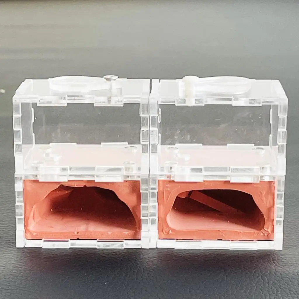 Ecological mini pocket hole house for Large ant,Plaster Ant Nest Acrylic Ants Farm Kids Educational Toys Pet Ants castle